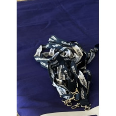 Lanyard